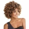 Afri-Naptural® Quick Curlon CASSIE CURL 10” (QCC10) - FINAL SALE 2 Afri-Naptural® Quick Curlon CASSIE CURL 10” (QCC10) - FINAL SALE -Wig Care Shop afri naptural crochet hair afri naptural quick curlon cassie curl 10 qcc10 28763424456790