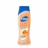 Dial: Moisturizing Body Wash Silk & Seaberry 16oz -Wig Care Shop dial bath body dial moisturizing body wash silk seaberry 16oz 30573263093846