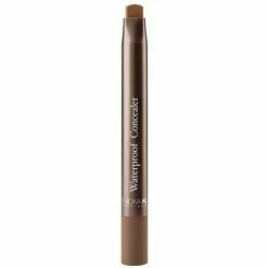 Nicka K: Waterproof Auto Concealer .06oz