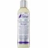 Mane Choice: Hair Tonic & Soy Milk Deep Hydration Shampoo 8oz -Wig Care Shop the mane choice styling product the mane choice heavenly halo herbal hair tonic soy milk deep hydration shampoo 8oz 762871414800